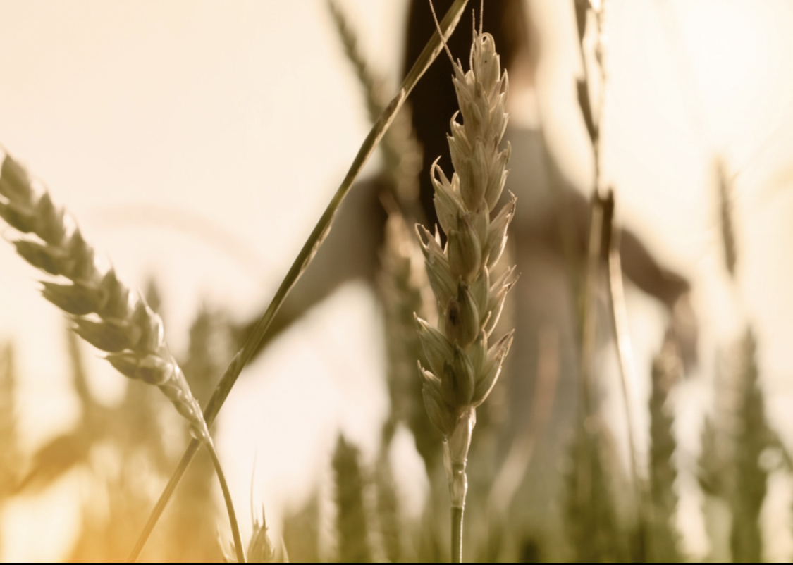 Leben in Einklang mit der Natur